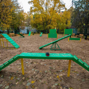 Без категорий